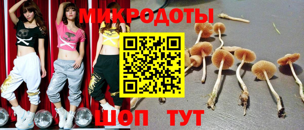 Обнинск  Псилоцибиновые грибы Psilocybe  Вход с VPN 