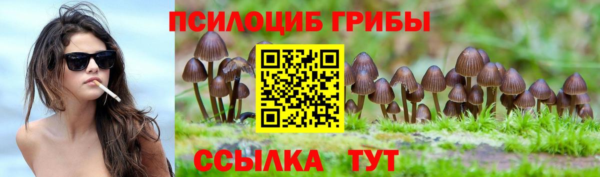 Альфа ПВП Обнинск
